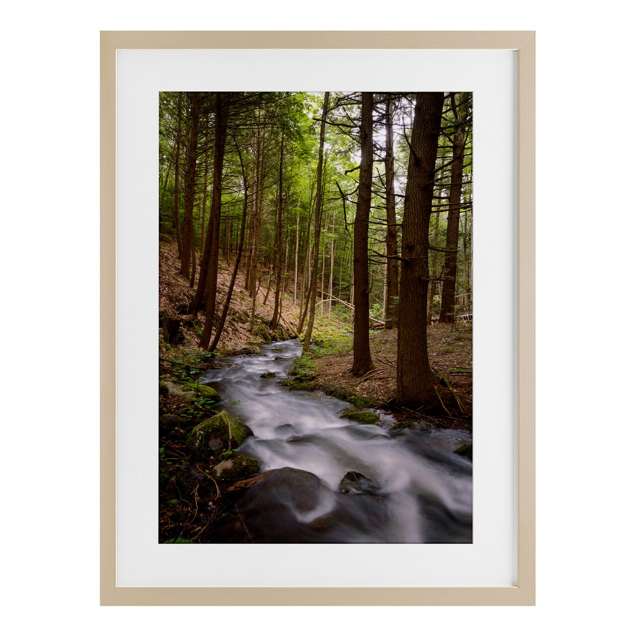 Stupell Industries Mist In The Adirondacks Framed Print Under Glass, design by James Rodewald